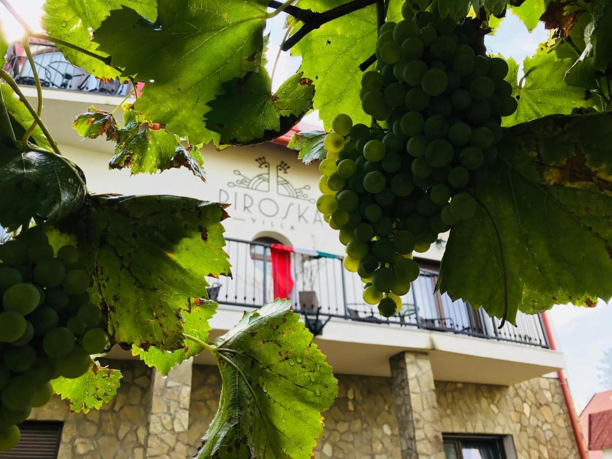 Piroska Villa Heviz Ngoại thất bức ảnh