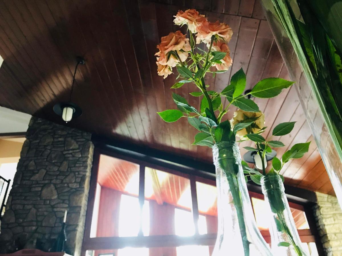 Piroska Villa Heviz Ngoại thất bức ảnh